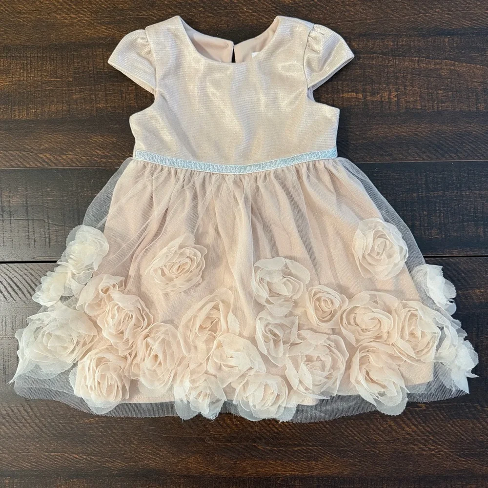 Nannette 3D Rosette Tulle Dress Champagne Pink 18M Flower Girl Birthday Shimmer